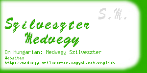 szilveszter medvegy business card